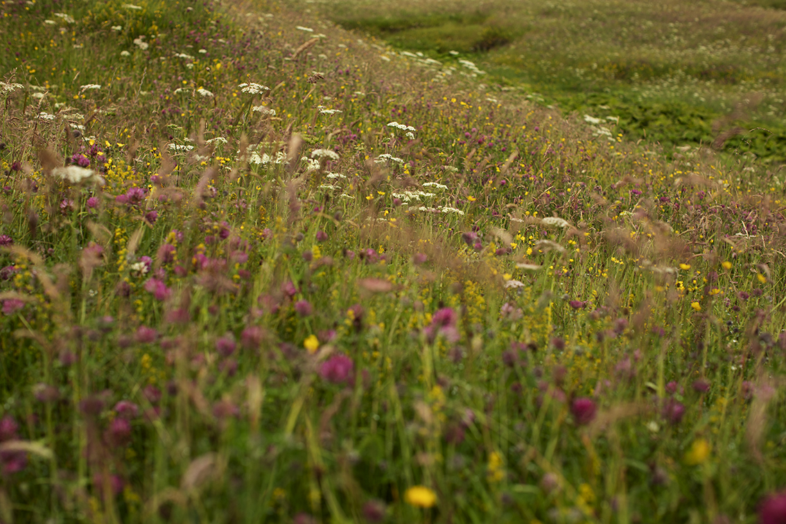 Timsgarry Byre is a self catering accommodation in the beautiful Isle of Lewis