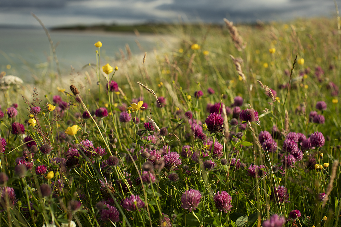 Timsgarry Byre is a self catering accommodation in the beautiful Isle of Lewis