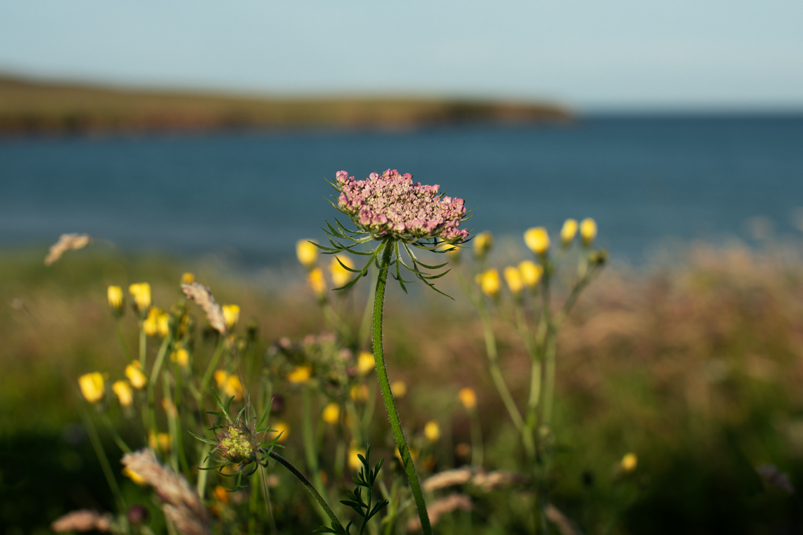 Timsgarry Byre is a self catering accommodation in the beautiful Isle of Lewis